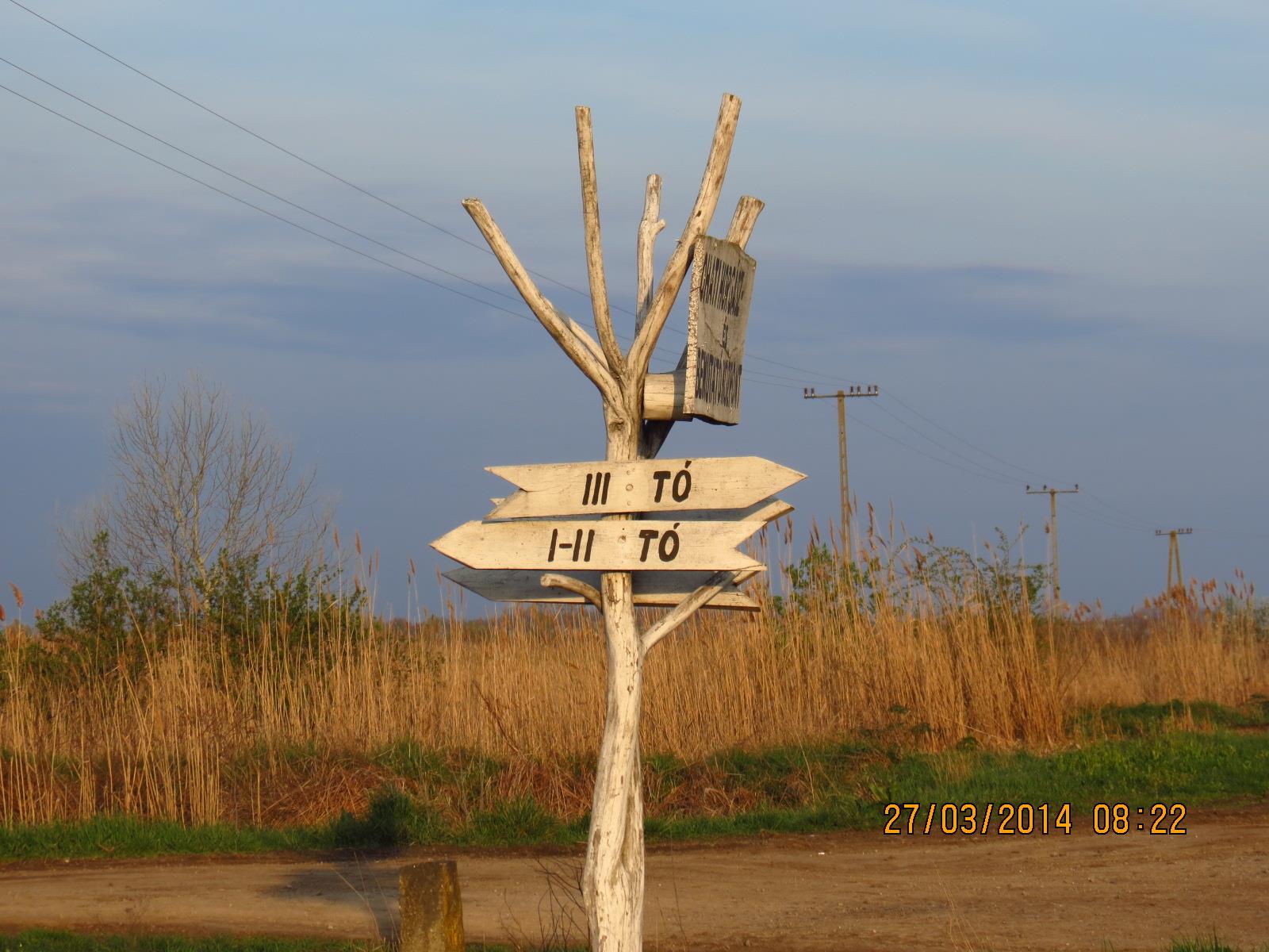 Ohat 3 27 - 30 mar. - 02511.JPG